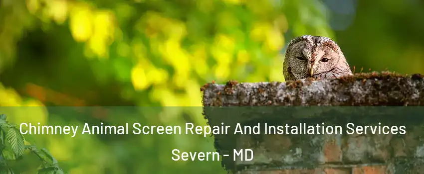  Chimney Animal Screen Repair And Installation Services Severn - MD