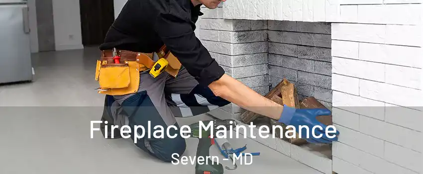  Fireplace Maintenance Severn - MD