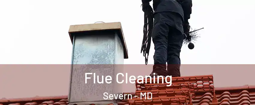  Flue Cleaning Severn - MD