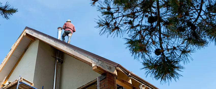 Birds Removal Contractors from Chimney in Severn, MD